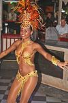 Carneval in Rio and the best Samba Show 7609582