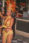 Carneval in Rio and the best Samba Show 7609583