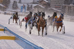 White Turf- International Horse Races