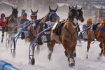 White Turf- International Horse Races