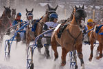 White Turf- International Horse Races