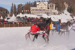 White Turf- International Horse Races 7688358