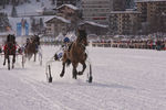 White Turf- International Horse Races 7688363