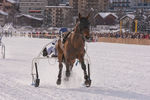 White Turf- International Horse Races 7688364