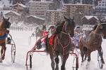 White Turf- International Horse Races 7688366