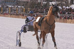 White Turf- International Horse Races 7688371