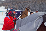 White Turf- International Horse Races 7688372