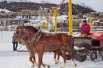 White Turf- International Horse Races 7688447