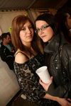Spring_VIT_2010  7824624