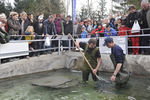 Fisch & Mehr 7834136