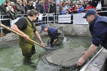 Fisch & Mehr 7834137