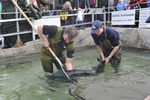 Fisch & Mehr 7834139