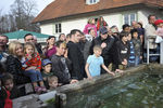 Fisch & Mehr 7834141