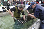 Fisch & Mehr 7834145