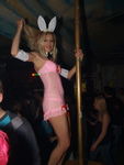 Sexy Bunny Party 7906078