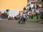 Pennwang in Flammen-Leistungsschau 801953