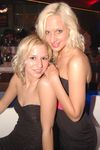 We Love NÖ 8037135