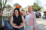 Maibaum-Setzen in Mondsee 8049901