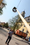 Maibaum-Setzen in Mondsee 8049910