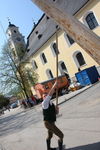 Maibaum-Setzen in Mondsee 8049913