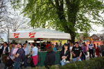 Maibaum-Setzen in Mondsee 8049916