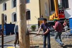 Maibaum-Setzen in Mondsee 8049917