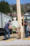 Maibaum-Setzen in Mondsee 8049920