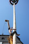 Maibaum-Setzen in Mondsee 8049926