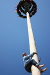 Maibaum-Setzen in Mondsee 8049928