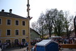 Maibaum-Setzen in Mondsee 8049930