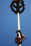 Maibaum-Setzen in Mondsee 8049933
