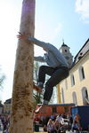 Maibaum-Setzen in Mondsee 8049935