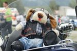 1. Mai 2010: Motorradweihe Bruneck 8079369