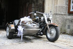 20. Harleytreffen + Bikerhochzeit in Steyr  8081162