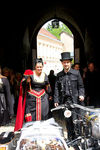 20. Harleytreffen + Bikerhochzeit in Steyr  8081174