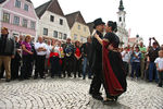 20. Harleytreffen + Bikerhochzeit in Steyr  8081213