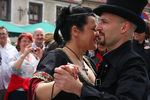 20. Harleytreffen + Bikerhochzeit in Steyr  8081214