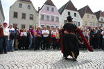 20. Harleytreffen + Bikerhochzeit in Steyr  8081215