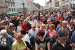 20. Harleytreffen + Bikerhochzeit in Steyr  8081243
