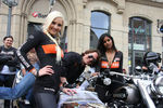 20. Harleytreffen + Bikerhochzeit in Steyr  8081277
