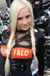 20. Harleytreffen + Bikerhochzeit in Steyr  8081278