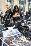 20. Harleytreffen + Bikerhochzeit in Steyr  8081281