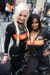 20. Harleytreffen + Bikerhochzeit in Steyr  8081282