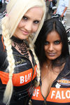 20. Harleytreffen + Bikerhochzeit in Steyr  8081283