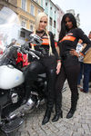 20. Harleytreffen + Bikerhochzeit in Steyr  8081288