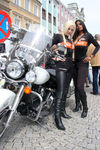 20. Harleytreffen + Bikerhochzeit in Steyr  8081290