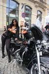 20. Harleytreffen + Bikerhochzeit in Steyr  8081291