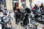 20. Harleytreffen + Bikerhochzeit in Steyr  8081292