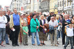 20. Harleytreffen + Bikerhochzeit in Steyr  8081298