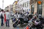 20. Harleytreffen + Bikerhochzeit in Steyr  8081310